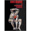 11.1. Анатомия 11.1. Анатомия